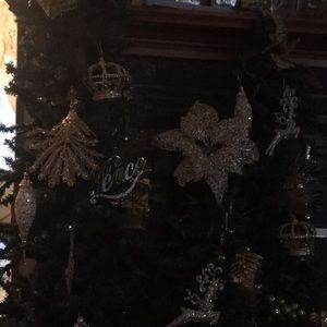 Meet your Posher, Carmen